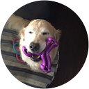 paul hardie profile picture