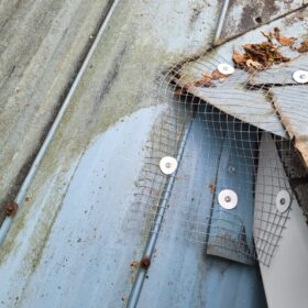 pest-control-services-raccoon-control-roof-extermination-exterminator-removal-canada-ontario-elmira-on-ca-squirrel-trap