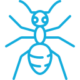 Ants-Extermination-Control-Pest-Control-Ontario-Toronto-Canada-ON