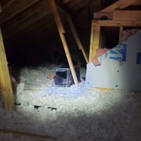 pest-control-services-raccoon-control-roof-extermination-exterminator-removal-canada-ontario-elmira-on-ca-squirrel-trap