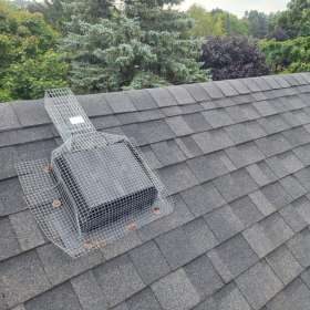 Rat-rodent-squirrel-raccoon-net-trap-removal-pest-control-canada-guelph-residential-ontario