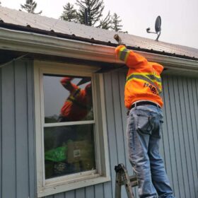 pest-control-services-raccoon-control-roof-extermination-exterminator-removal-canada-ontario-fergus-on-ca