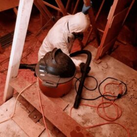 pest-control-services-ant-mice-mosquito-bees-wasp-cockroach-termite-control-roof-extermination-exterminator-removal-canada-ontario-fergus-on-ca