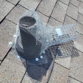 pest-control-services-raccoon-control-roof-extermination-exterminator-removal-canada-ontario-elmira-on-ca-squirrel-trap
